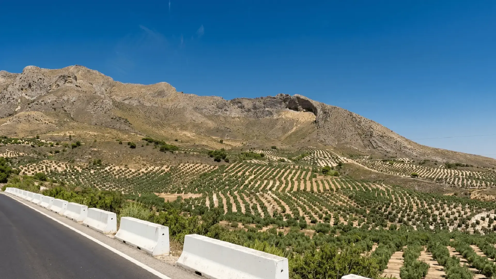 Scenic road between Jaén and Úbeda through endless olive groves, Jaén province – iconic Andalusian landscape Scenic road between Jaén and Úbeda through endless olive groves, Jaén province – iconic Andalusian landscape